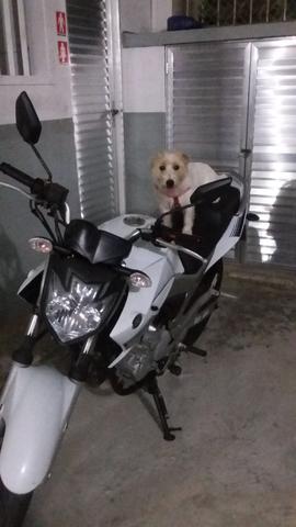 Yamaha Fazer mil km,  - Motos - Leme, Rio de Janeiro | OLX